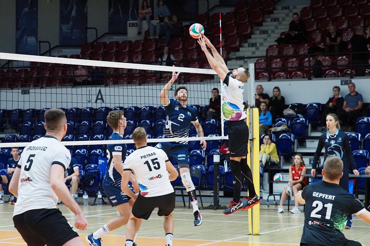Siatkarze MCKiS Jaworzno zagrają mecze przeciwko reprezentacji Algierii