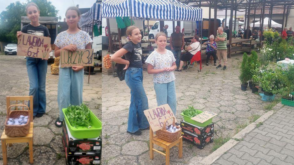 Lawenda w Jaworznie od przedsiębiorczej 10-latki Patrycji