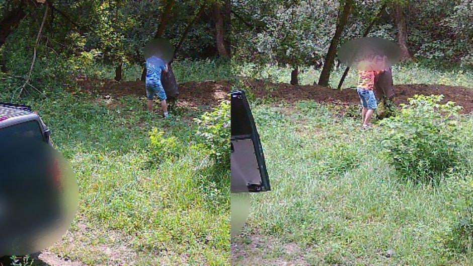 Zaśmiecał las regularnie - wpadł dzięki fotopułapkom