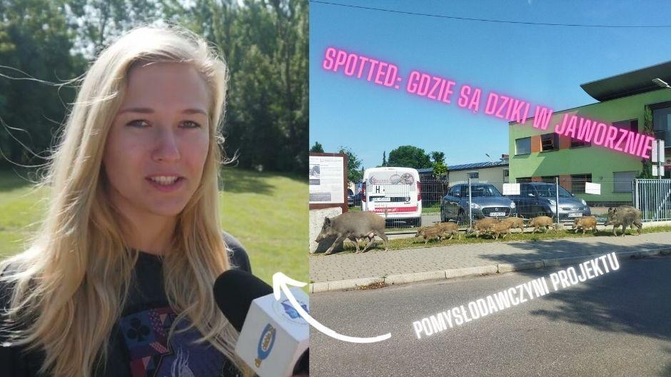 Spotted: gdzie są dziki w Jaworznie - Pomysłodawczyni Alicja tłumaczy powód powstania grupy