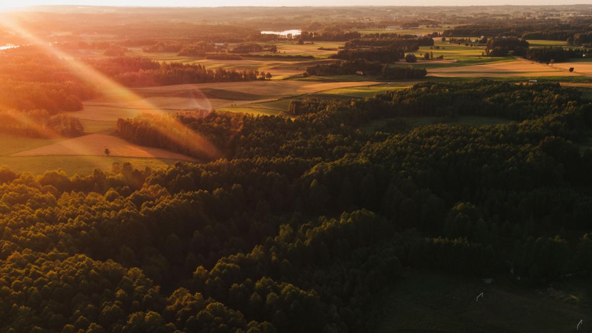 Blog fotograficzny - Najlepszy poradnik dla tych, którzy nie wiedzą, jak uchwycić podstawy fotografii!