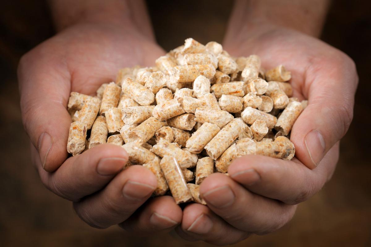 Pellet drzewny - co to jest?