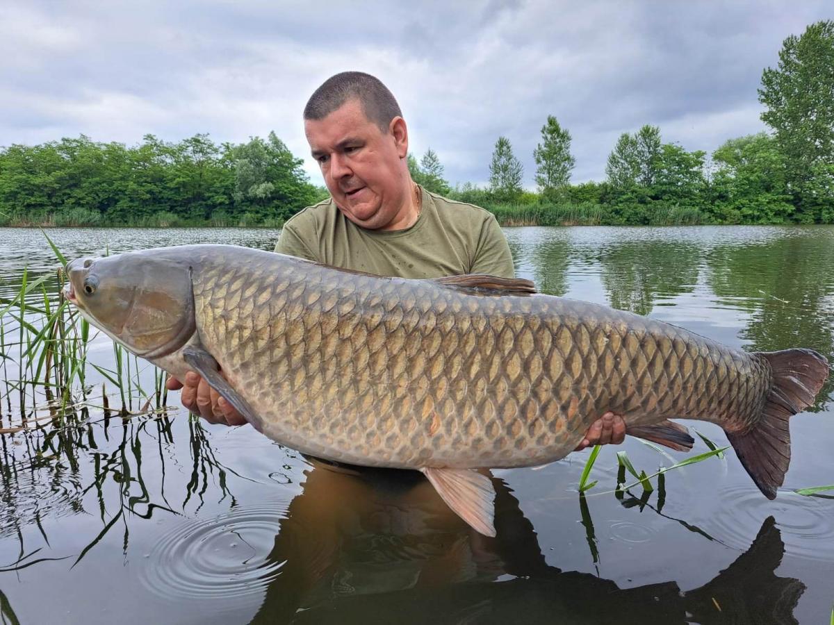 Ryby giganty złowione przez wędkarza z Jaworzna