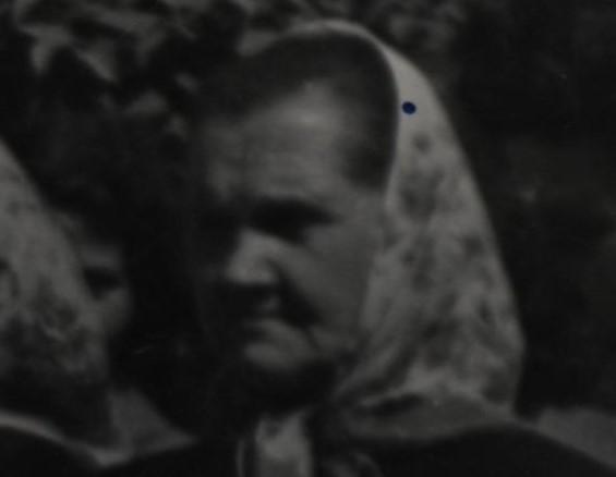 Oczywista Nieoczywistość - Pazury