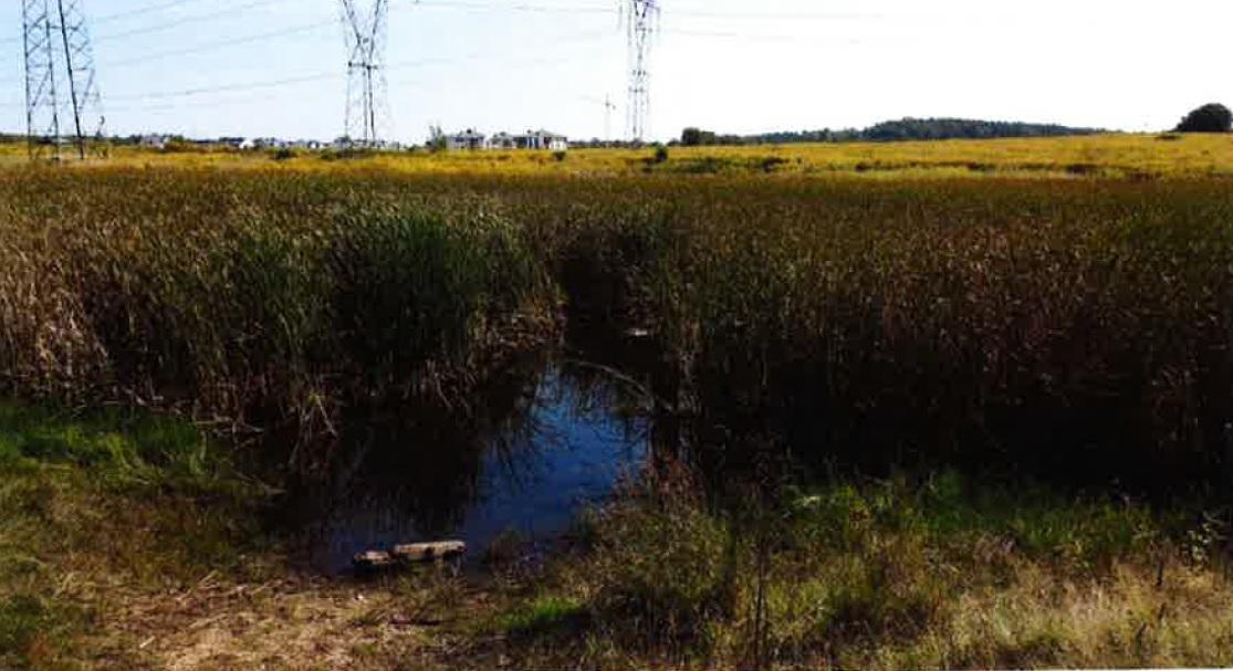 Zaułek rowerowy na Gigancie - nowa strefa wypoczynku w Jaworznie