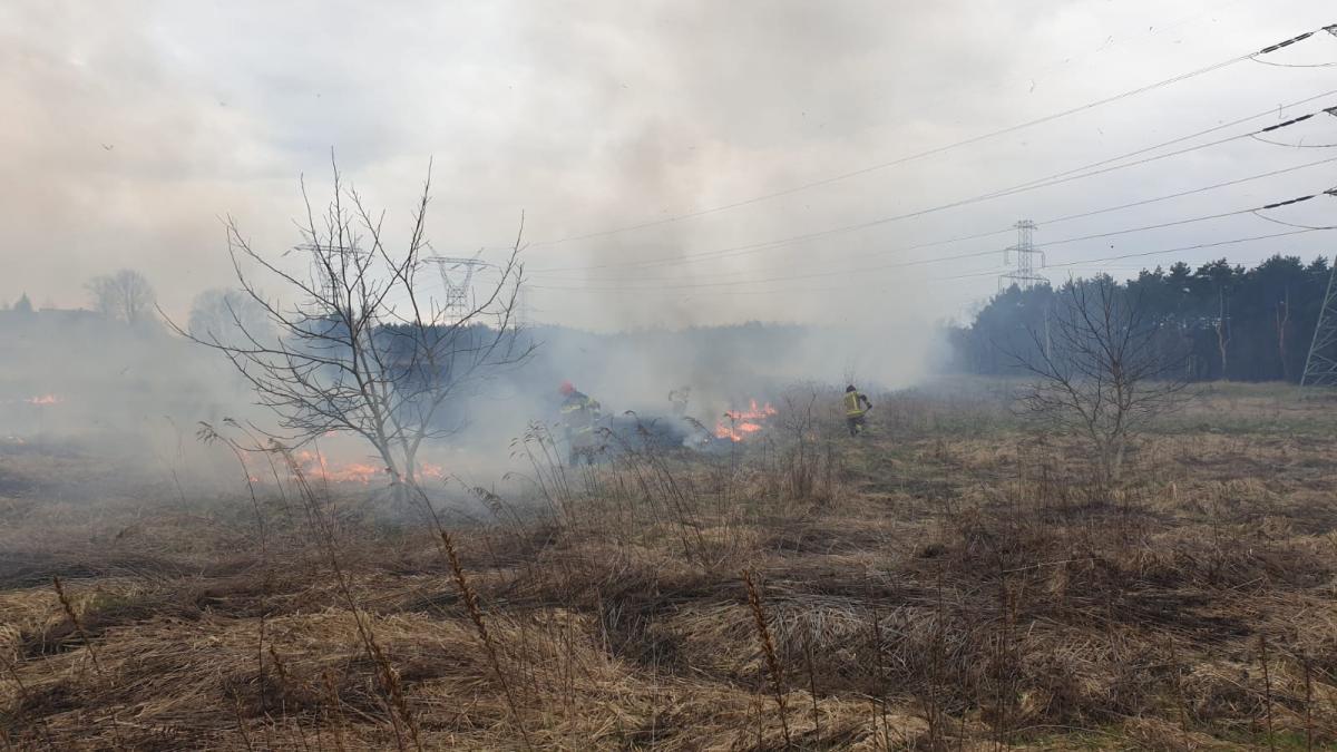 Pożar traw przy ul. Szewskiej