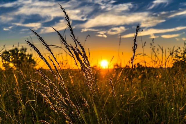 Zmiany klimatu a polskie rolnictwo