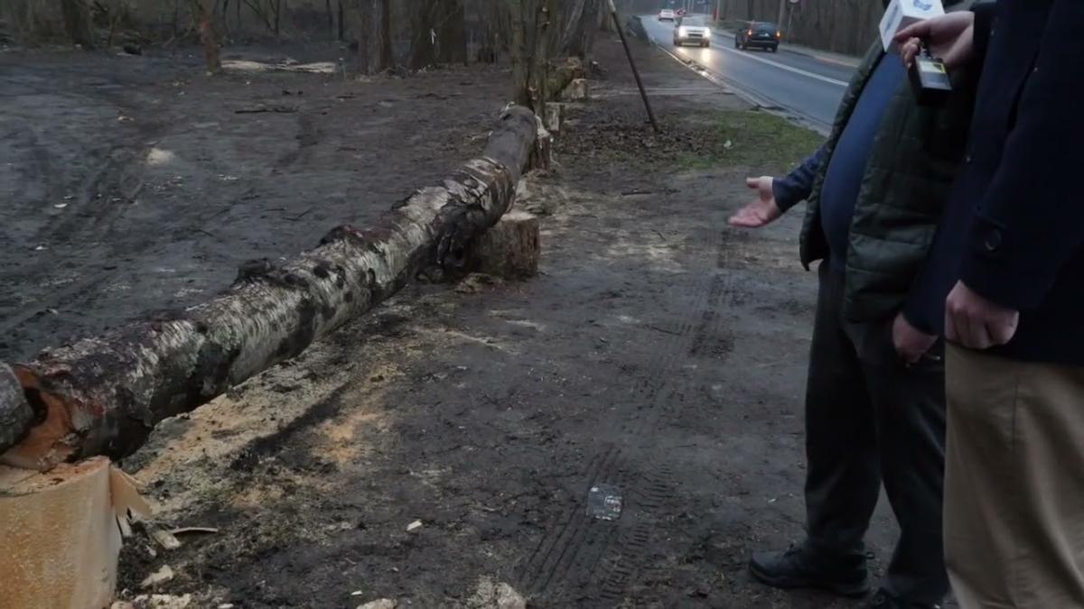 Droga na trasę offroadową zablokowana przez kłody
