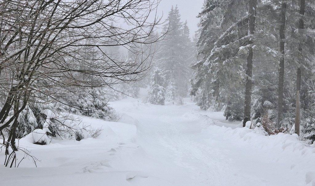 Silny wiatr, opady i oblodzenia 3 i 4 lutego