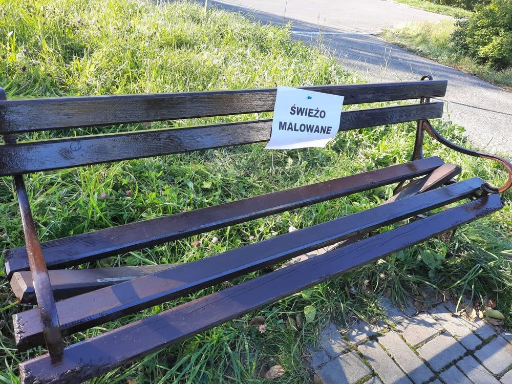 Nie ma sensu stawiać w Jaworznie ławek, bo mieszkańcy je niszczą — odpowiada UM Jaworzno
