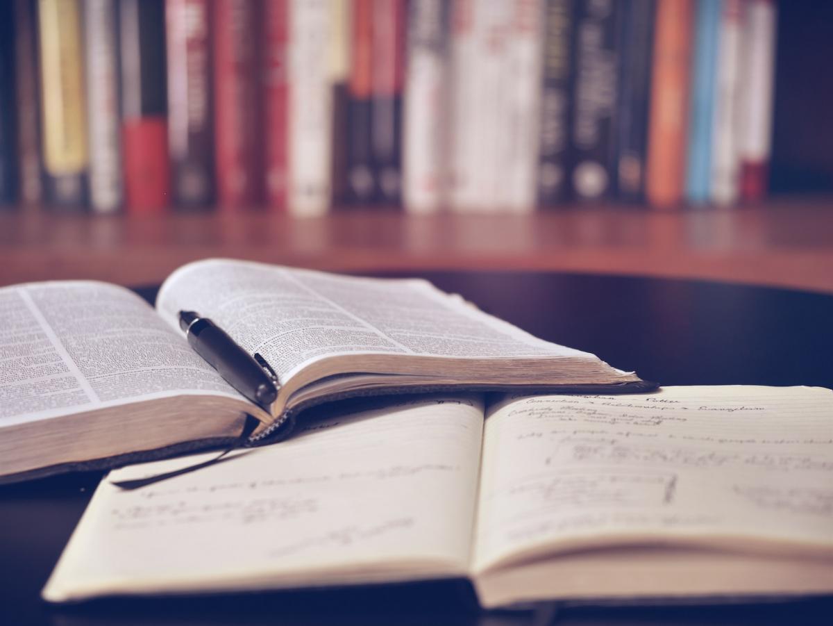 Zarządzanie i finanse online – dlaczego warto studiować?