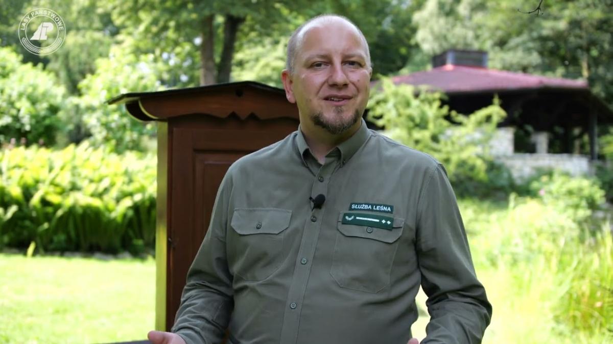 Bioróżnorodność w lesie. Film edukacyjny o gospodarce leśnej