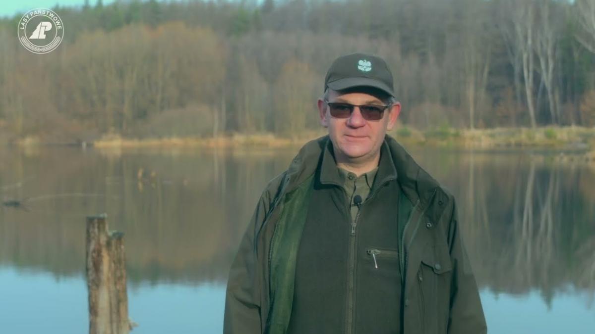 Zapadliska i inne szkody pogórnicze w lesie. Film edukacyjny o gospodarce leśnej