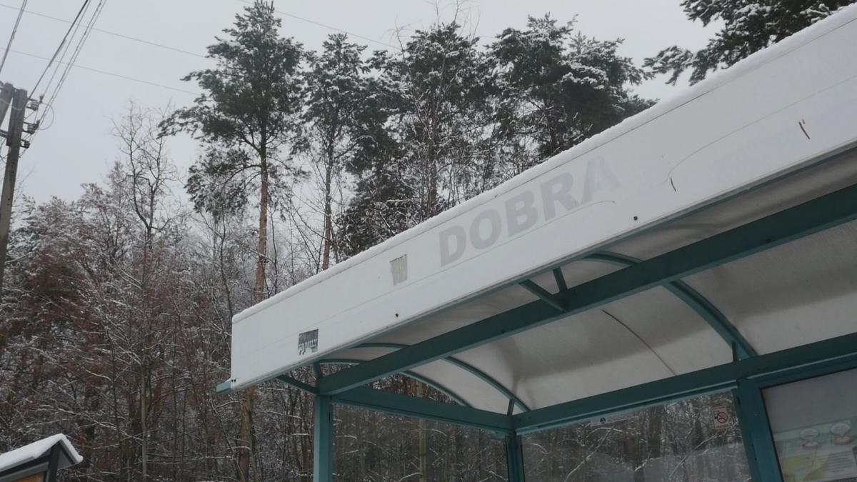 Jaworzno mało znane - Dobra czy dobry?