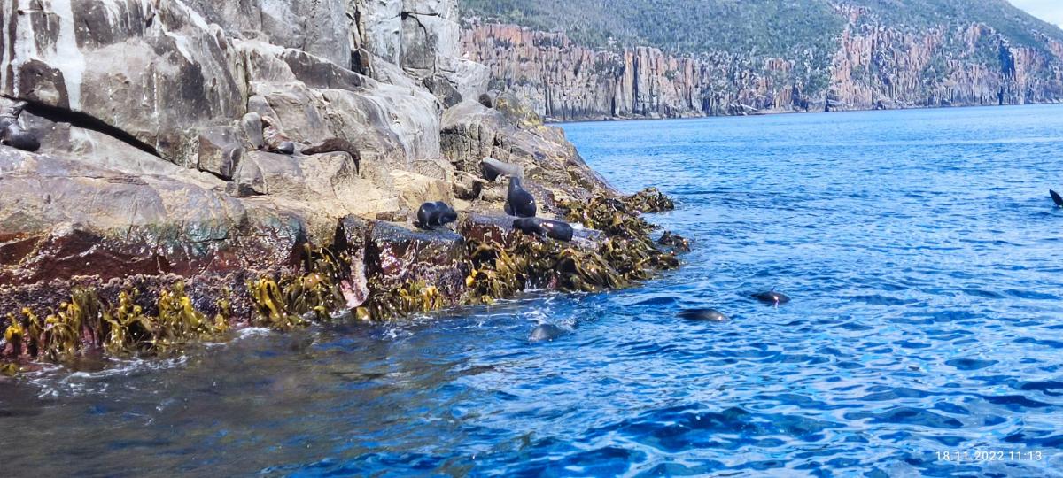 Rowerem przez Australię z Ryszardem Karkoszem. Dzień 79 z 89