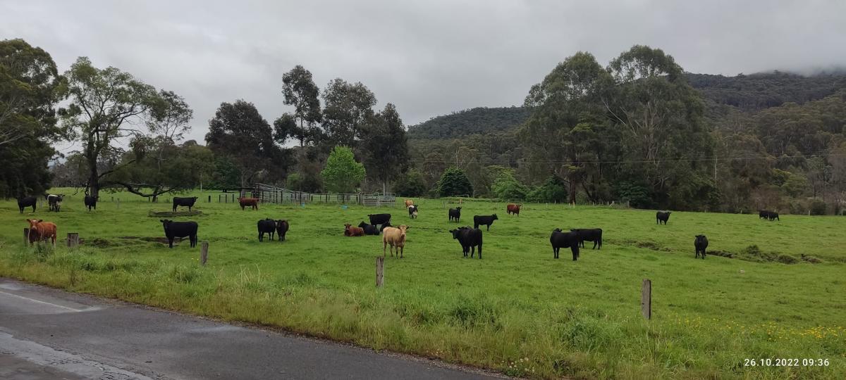 Rowerem przez Australię z Ryszardem Karkoszem. Dzień 56 z 89