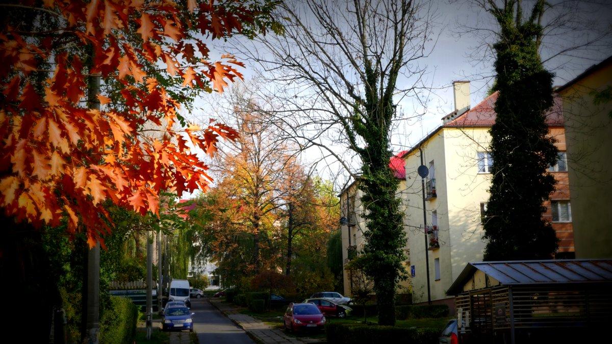 Zaatakował nożem swoją partnerkę