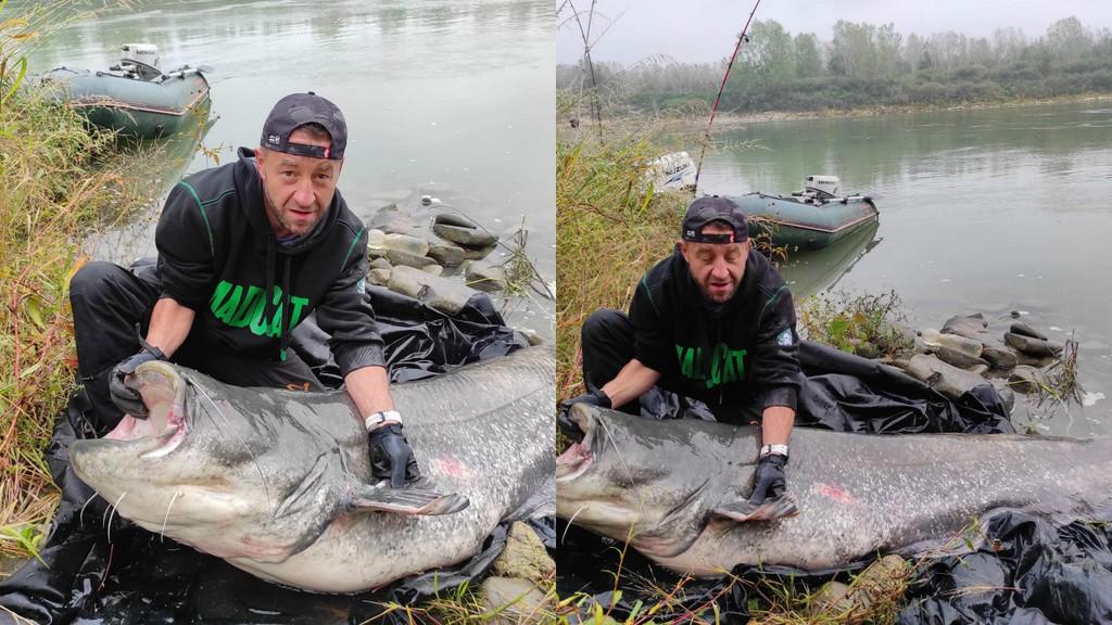 Mieszkaniec Jaworzna złowił suma ważącego 120 kg i mierzącego 243 cm długości