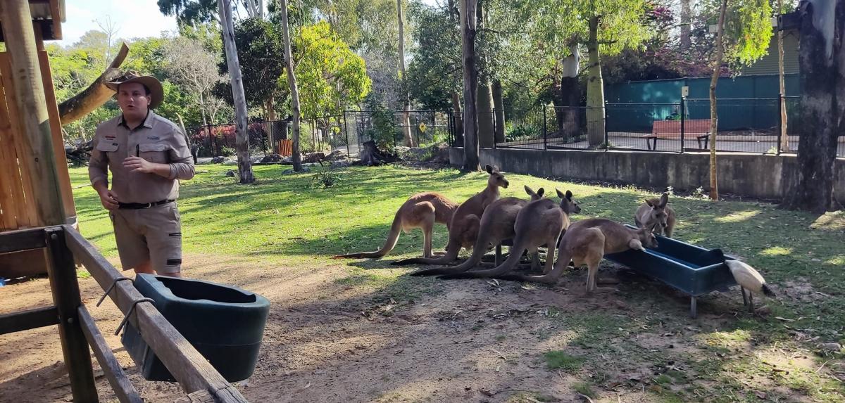 Rowerem przez Australię z Ryszardem Karkoszem. Dzień 20 z 89