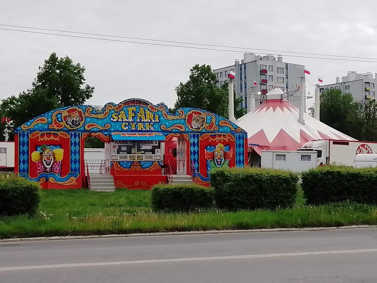 Cyrk Safari już w Jaworznie — mamy dla Was bilety