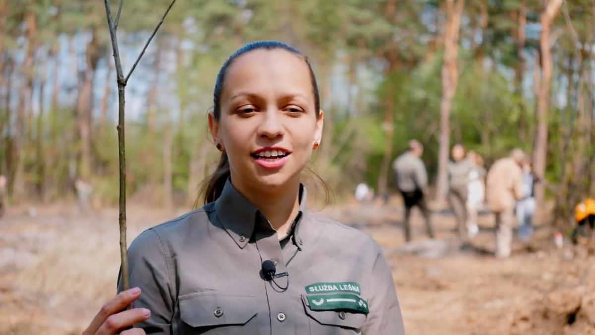 Chodzi o to, żeby las był zawsze. Film edukacyjny o gospodarce leśnej