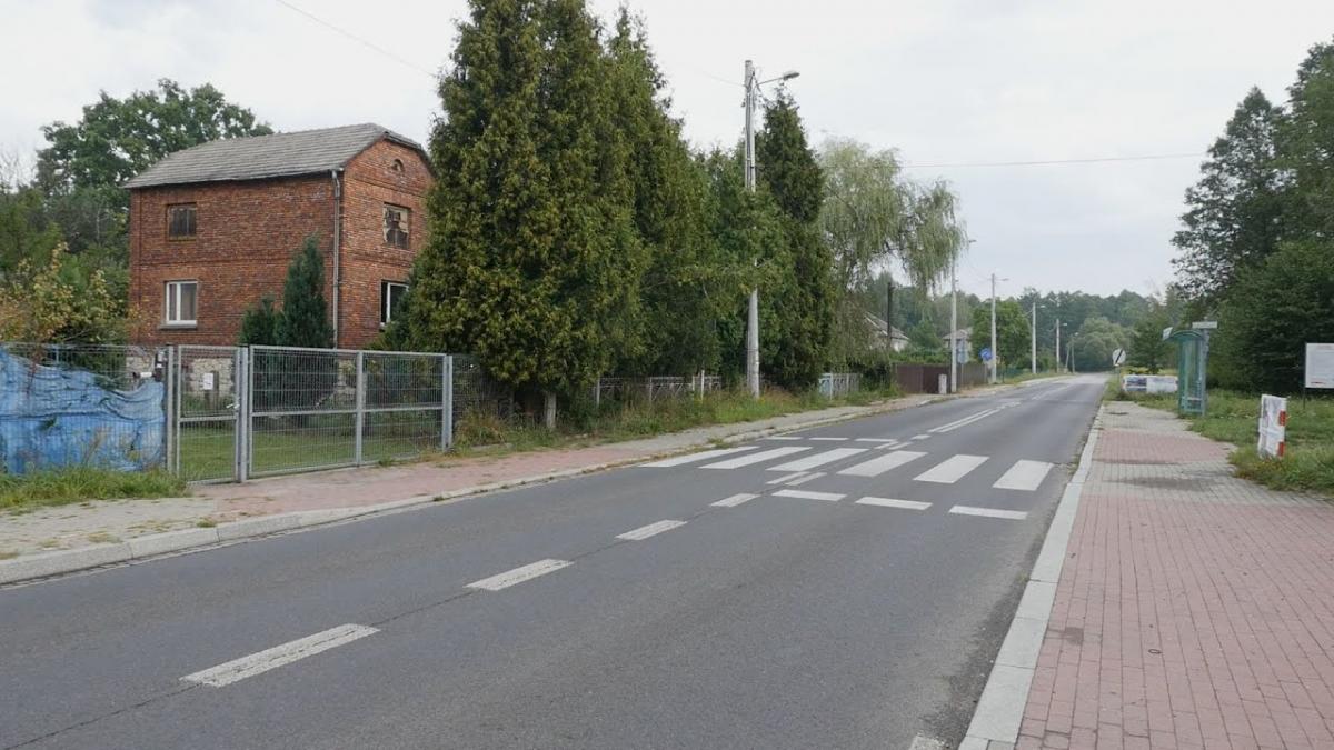 Jaworzno mało znane - Czy Dąb to Jeleń?