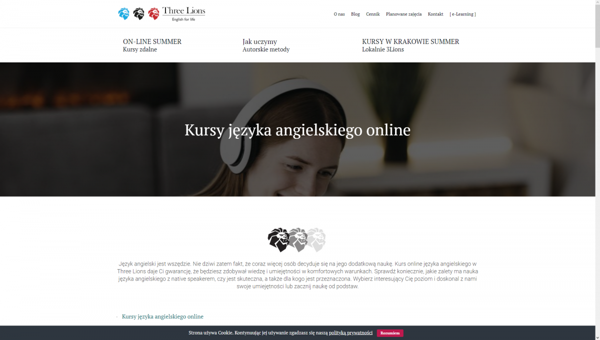 Jaki kurs języka angielskiego online wybrać?