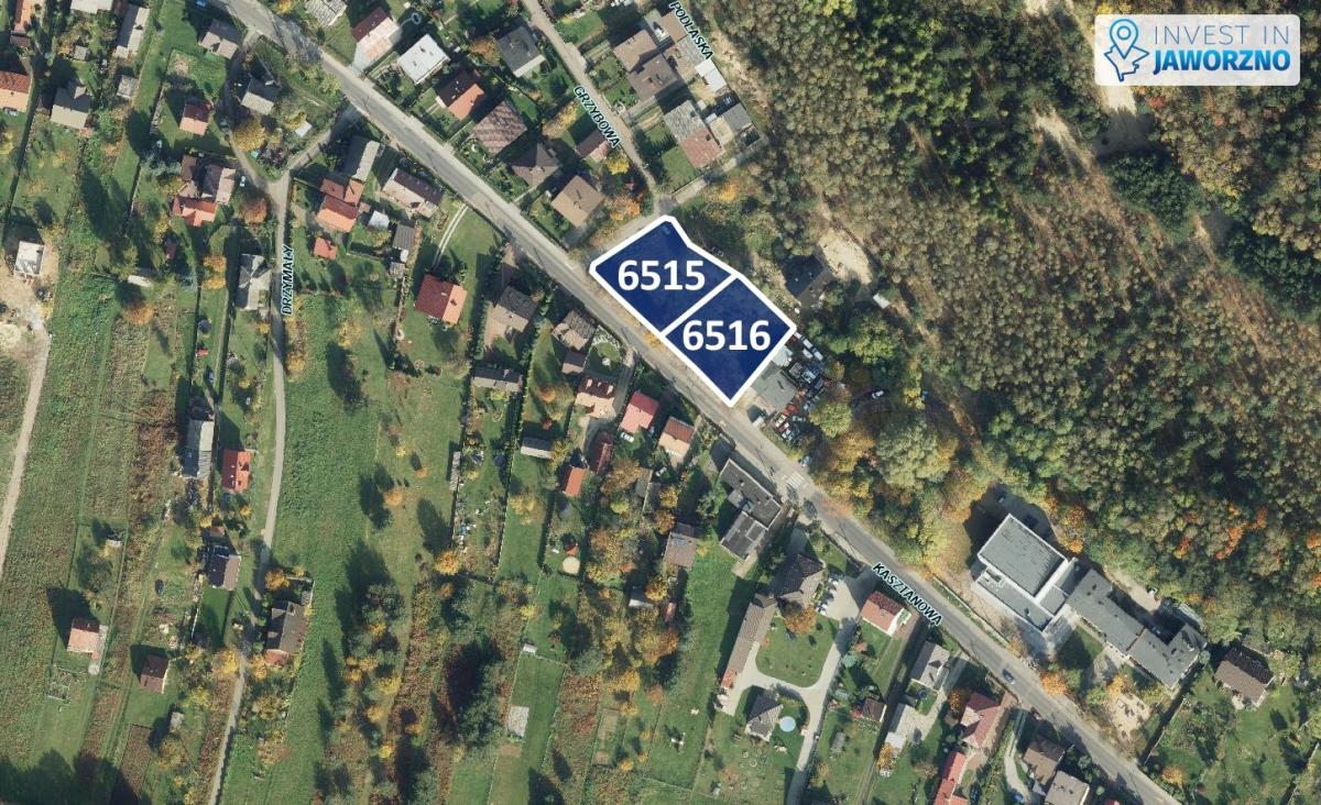 Miasto sprzedaje działki budowlane przy ul. Kasztanowej