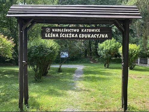 Jak zdobyć wiedzę o lesie? Film edukacyjny o gospodarce leśnej