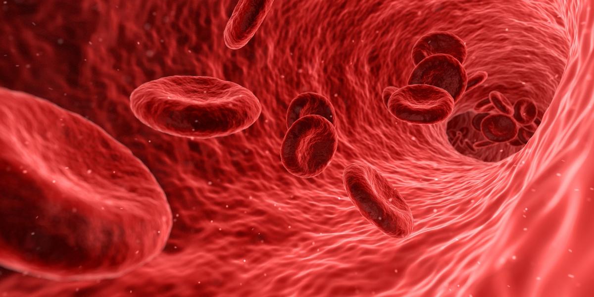 Hemofilia jako zaburzenie hemostazy. Co musisz o niej wiedzieć?