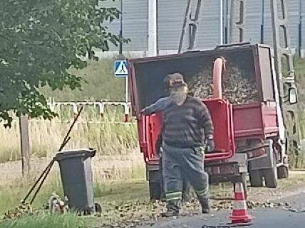 Ścięte gałęzie posprzątane. Mieszkańcy dziękują za interwencje