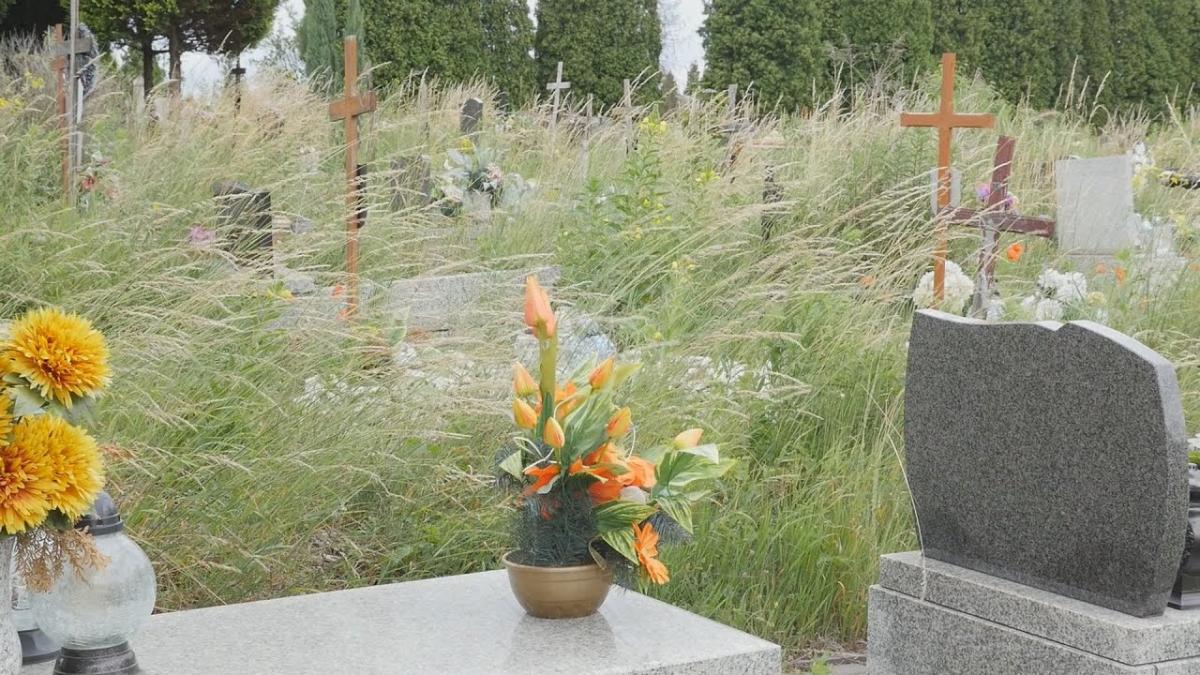 Cały cmentarz zarośnięty - Pani Irena jest sfrustrowana