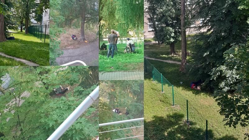 Pijani bezdomni terroryzują mieszkańców Osiedla Stałego