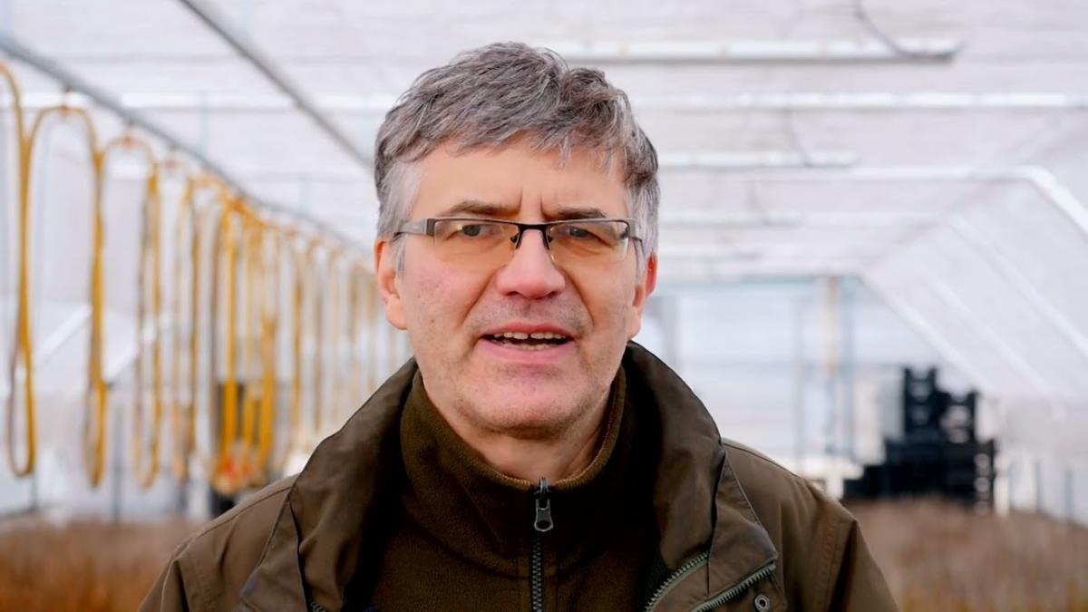Od sadzonki do lasu. Film edukacyjny o gospodarce leśnej