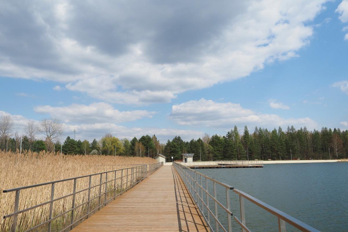 Martwe ryby nad Sosiną? Prezes uspakaja 