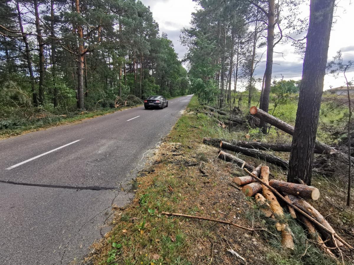 Alert RCB ostrzega przed silnym wiatrem 20 i 21 maja