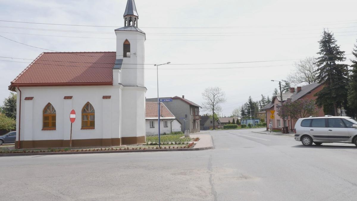 Jaworzno mało znane - człowiek czy roślina?