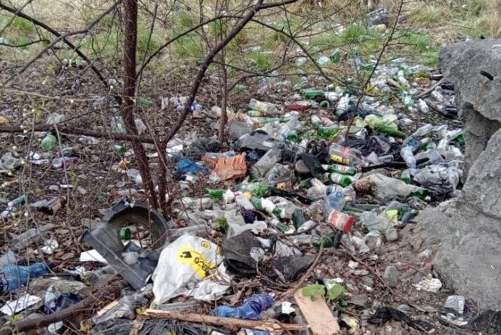 Kolejny śmieciowy problem w Jaworznie