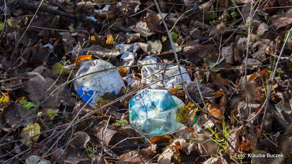 Platforma Obywatelska zaprasza na sprzątanie Jaworzna z okazji Światowego Dnia Ziemi