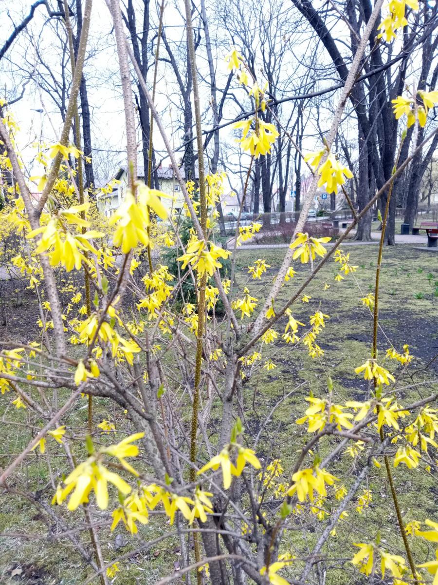 Oczywista Nieoczywistość- „Powrót do życia” (Dziwna istota, cz. 2)