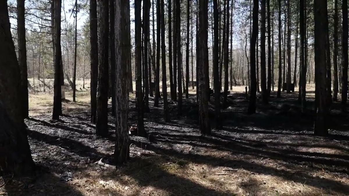 Pożar przy S1. Spalone opony i kable.