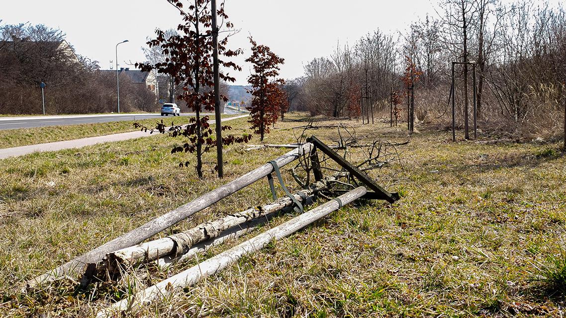 Smutny widok. Aleja powalonych drzew