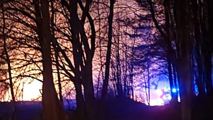 Pożar traw w Ciężkowicach