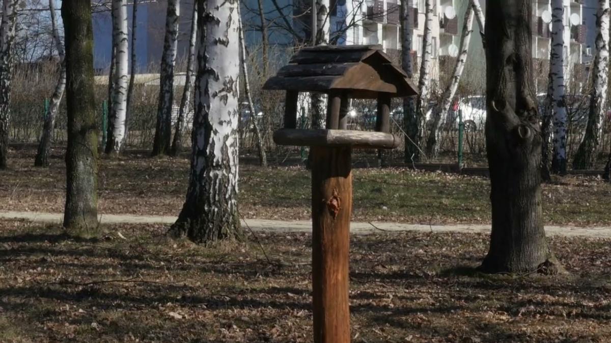 Co się dzieje z parkiem na Podłężu? -pytają mieszkańcy