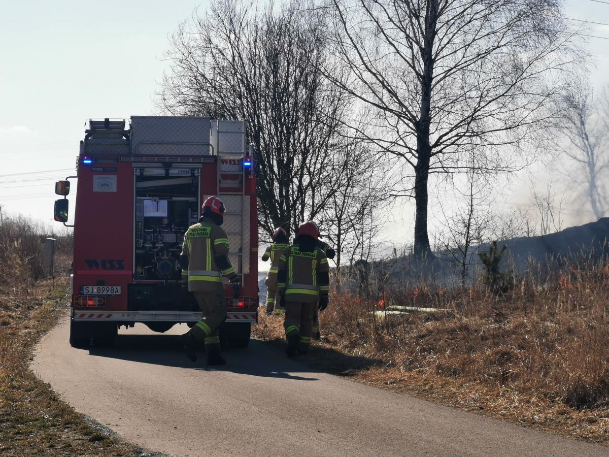 Pożar traw w Jeziorkach
