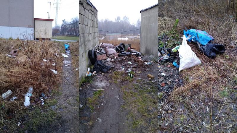 Problem śmieci na Starej Hucie