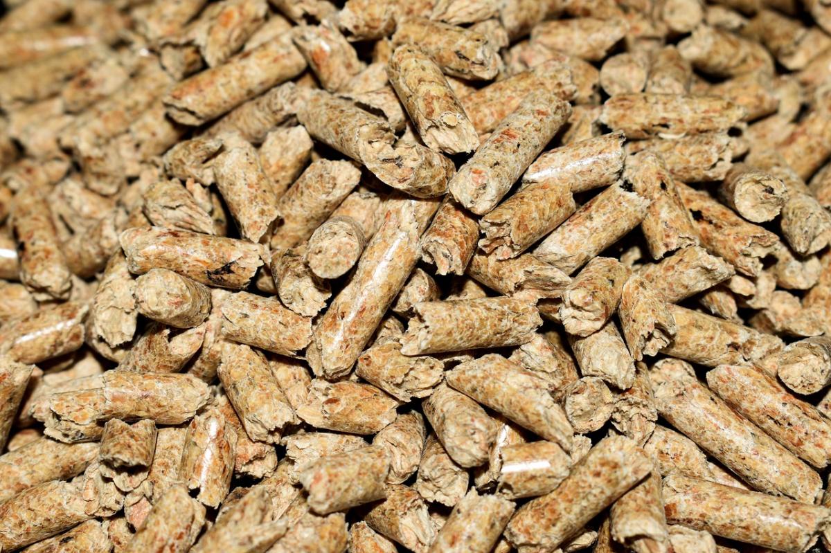 Pellet drzewny – co to jest i z czego powstaje?