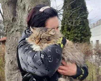 Akcja ratowania kota w Byczynie