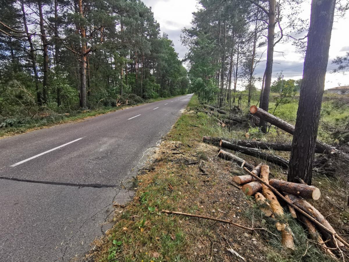 Alert RCB ostrzega przed silnym wiatrem 18 i 19 lutego