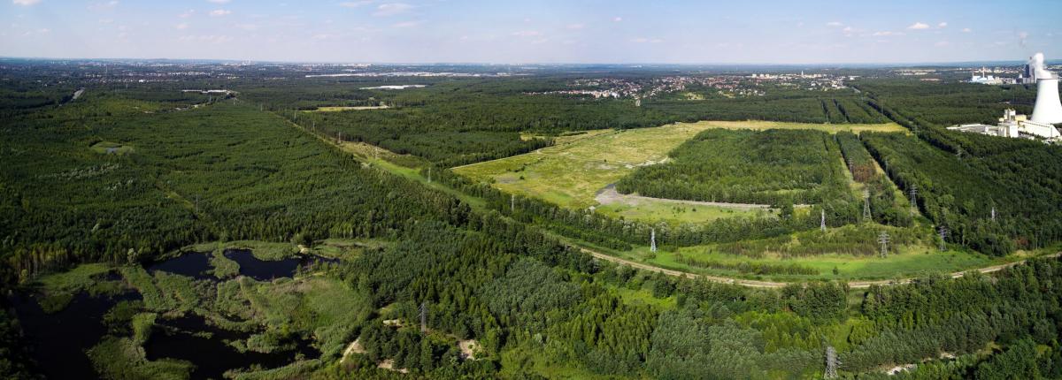 3 mln zł na nasadzenia drzew i utworzenie terenów zielonych w Jaworznie